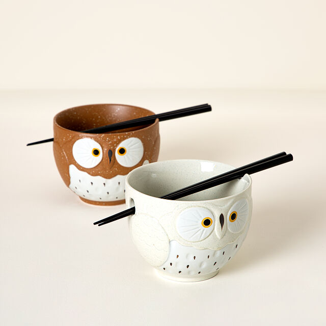 His and Hers Gifts Owl noodle soup bowl