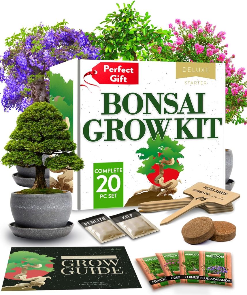 Bonsai home grow kit