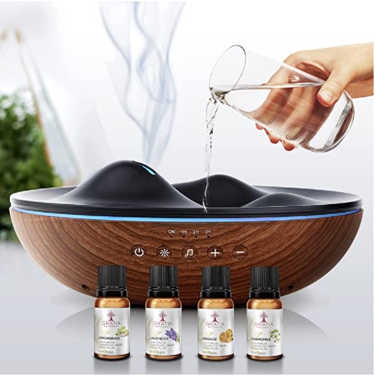 Birthday gift for her fancy diffuser