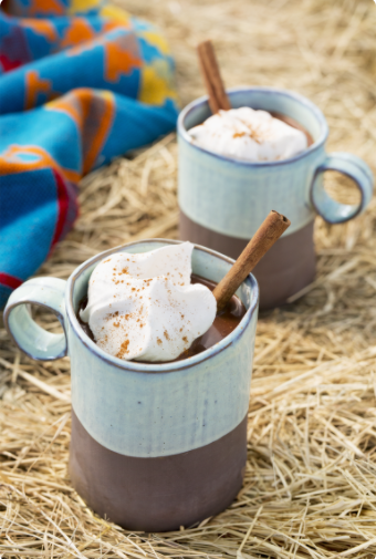 Spiced Mexican Hot Chocolate christmas cocktail