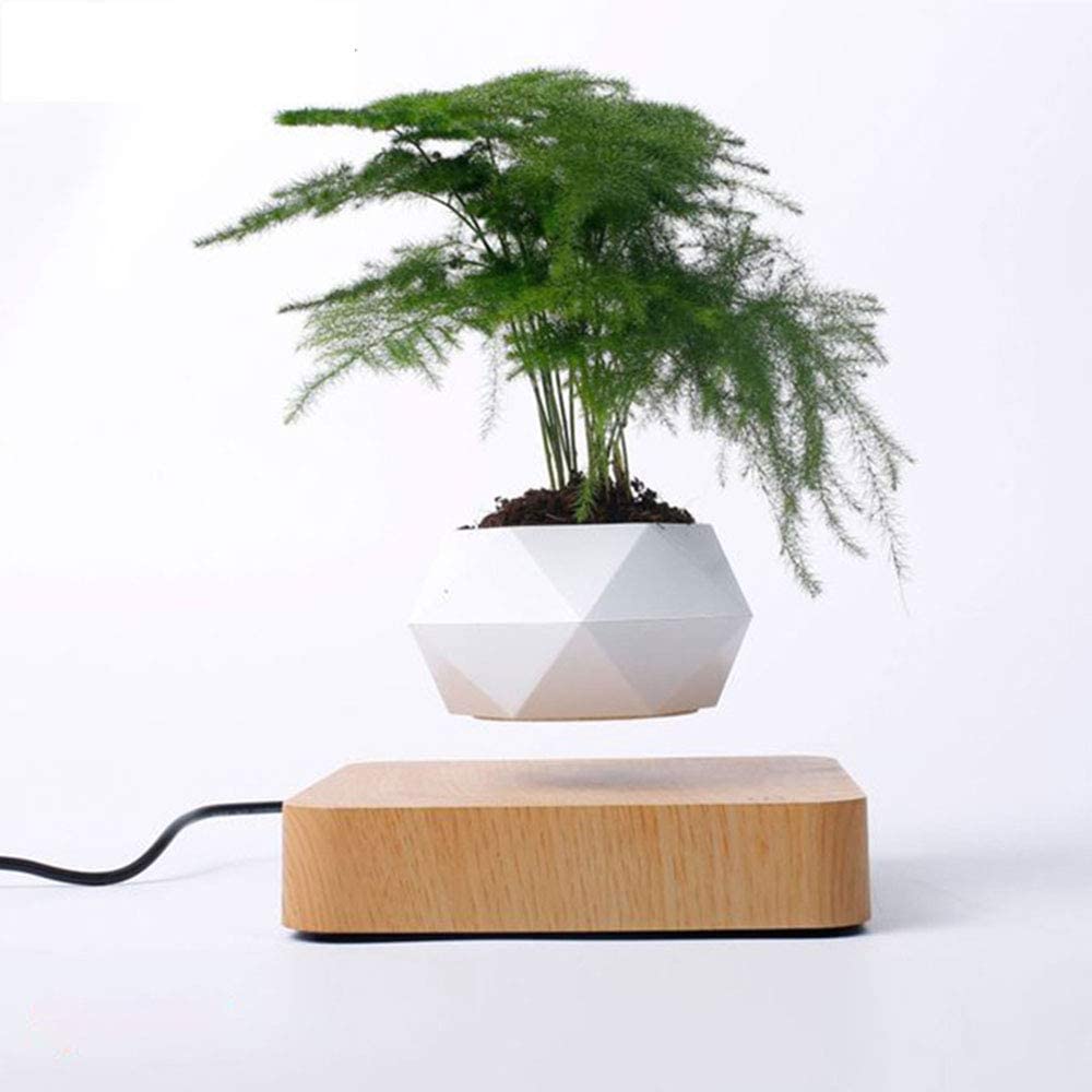 Levitating Air Bonsai Pot Rotation Flower Pot